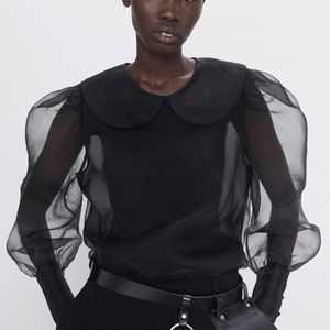 Zara Organza Blouse
